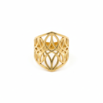 Stylish Regal Lattice ring - Image 3